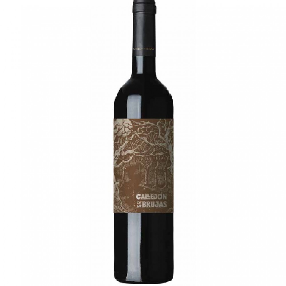callejon-de-las-brujas-malbec-x-750-3802