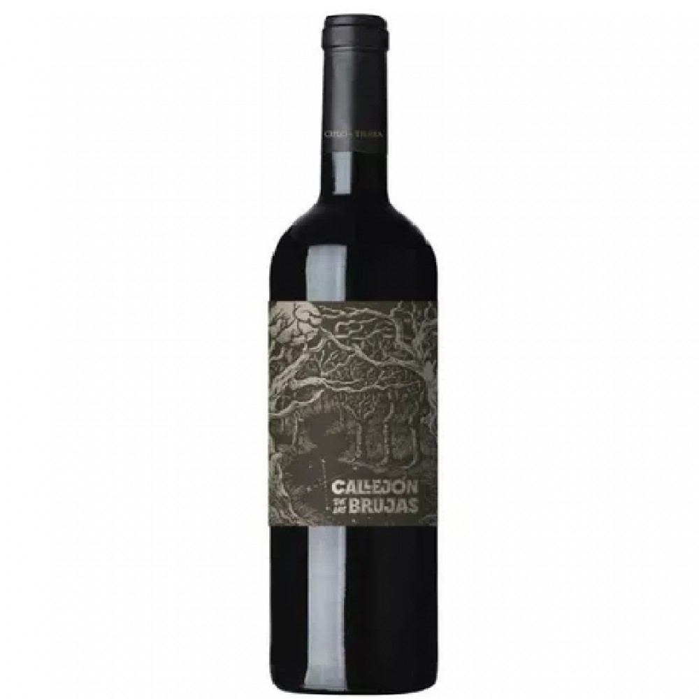 callejon-de-las-brujas-tannat-x-750-3819