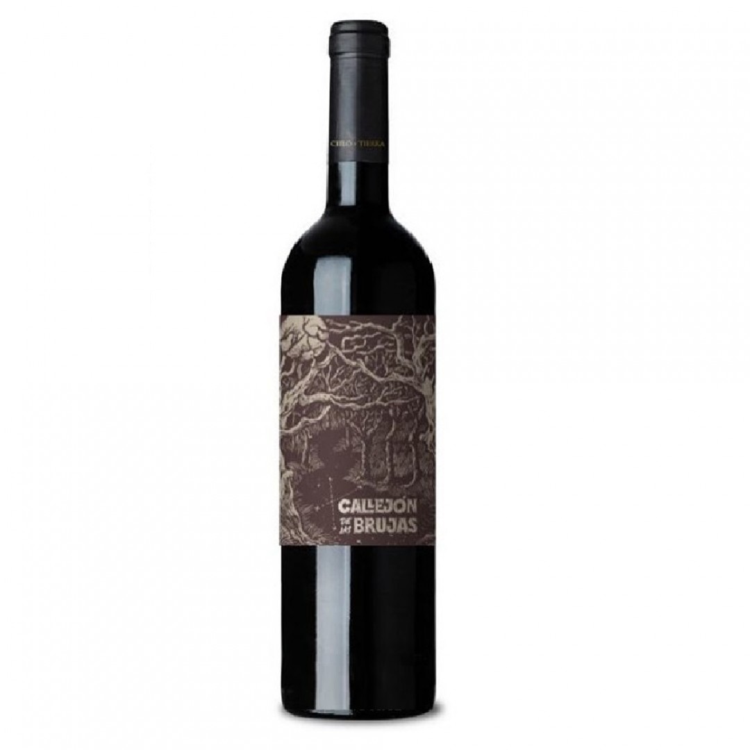 callejon-de-las-brujas-cabernet-sau-x-750-3820